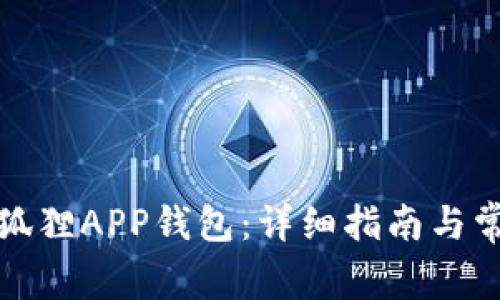 如何注册小狐狸APP钱包：详细指南与常见问题解答